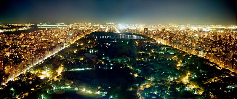David Drebin Central Park