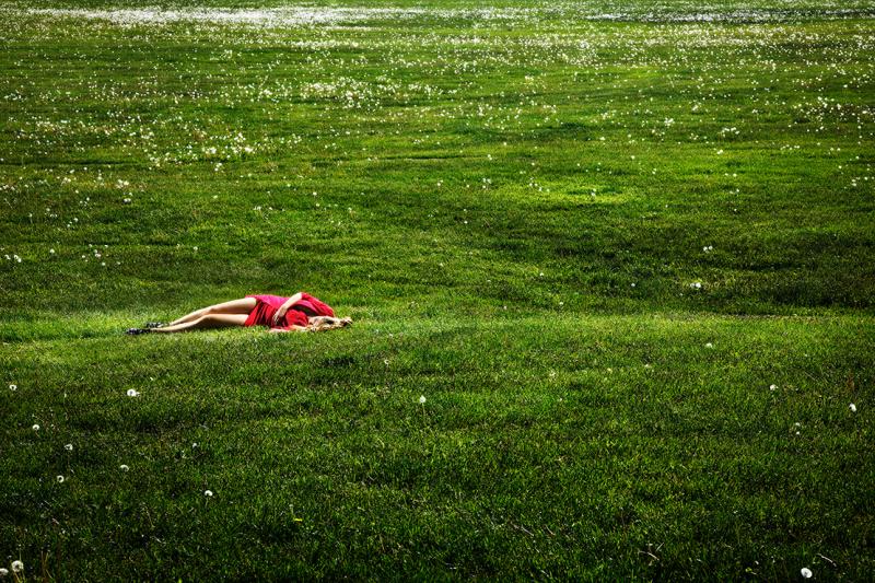 David Drebin David Drebin Field Of Dreams 2012