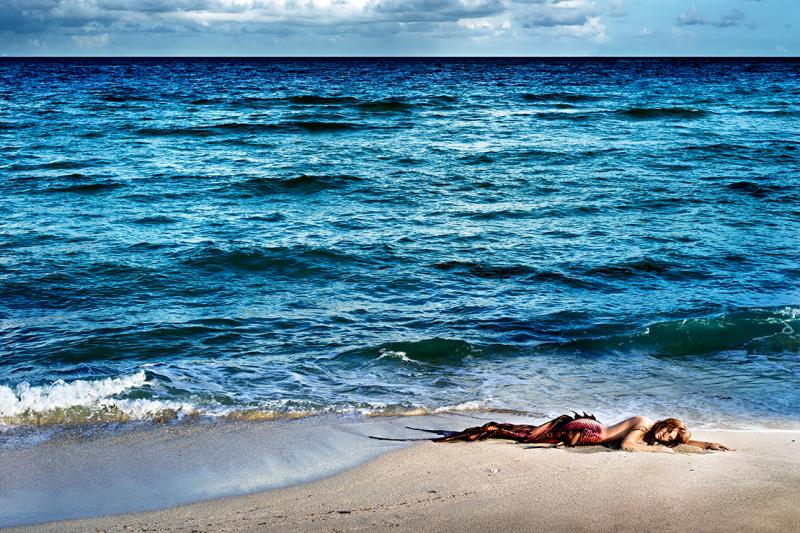 David Drebin David Drebin Mermaid In Paradise II 2014