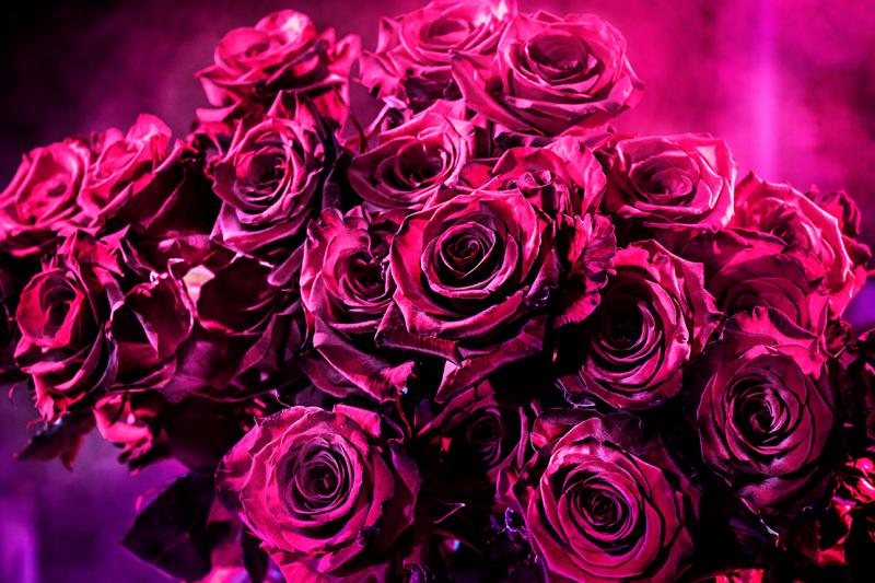 David Drebin David Drebin Pink Love 2014