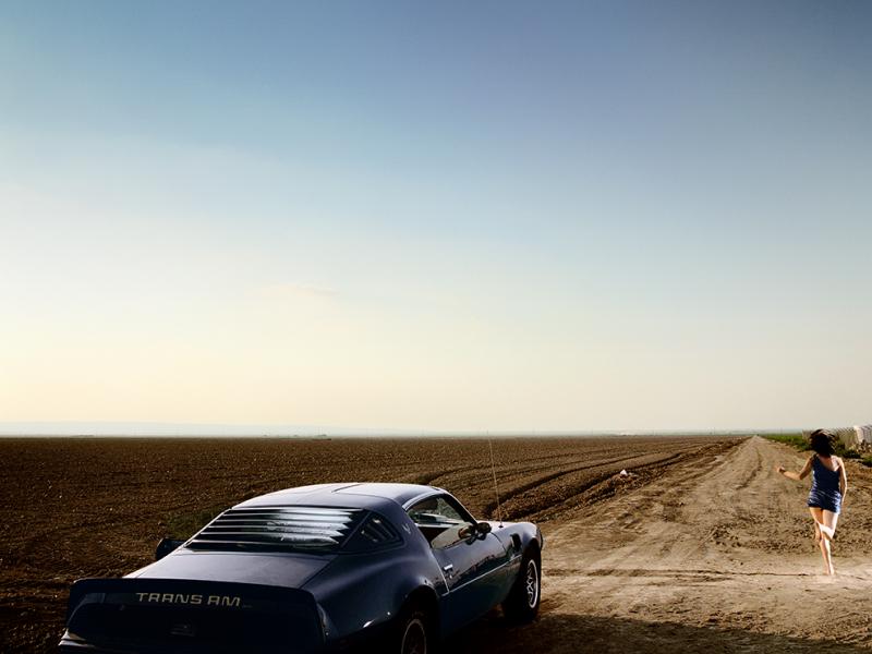 David Drebin David Drebin Trans Am 2001