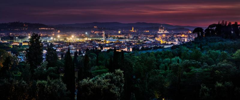 David Drebin Dreams Of Florence