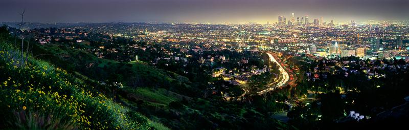 David Drebin Los Angeles