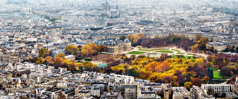 David Drebin Luxembourg Gardens
