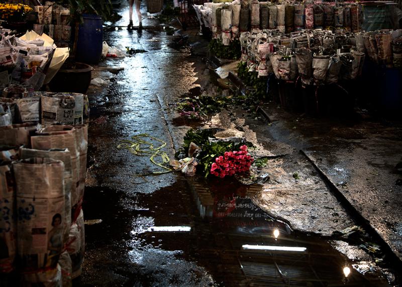 David Drebin Never Look Back