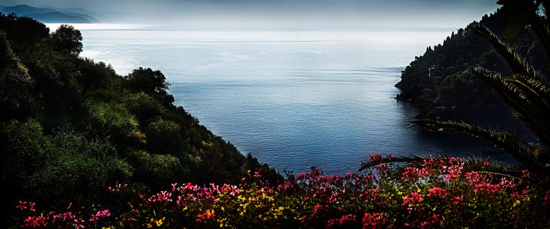 David Drebin Portofino Flowers