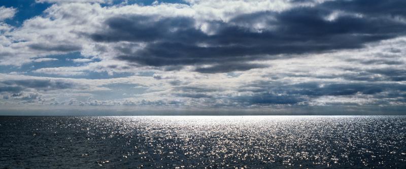 David Drebin The End