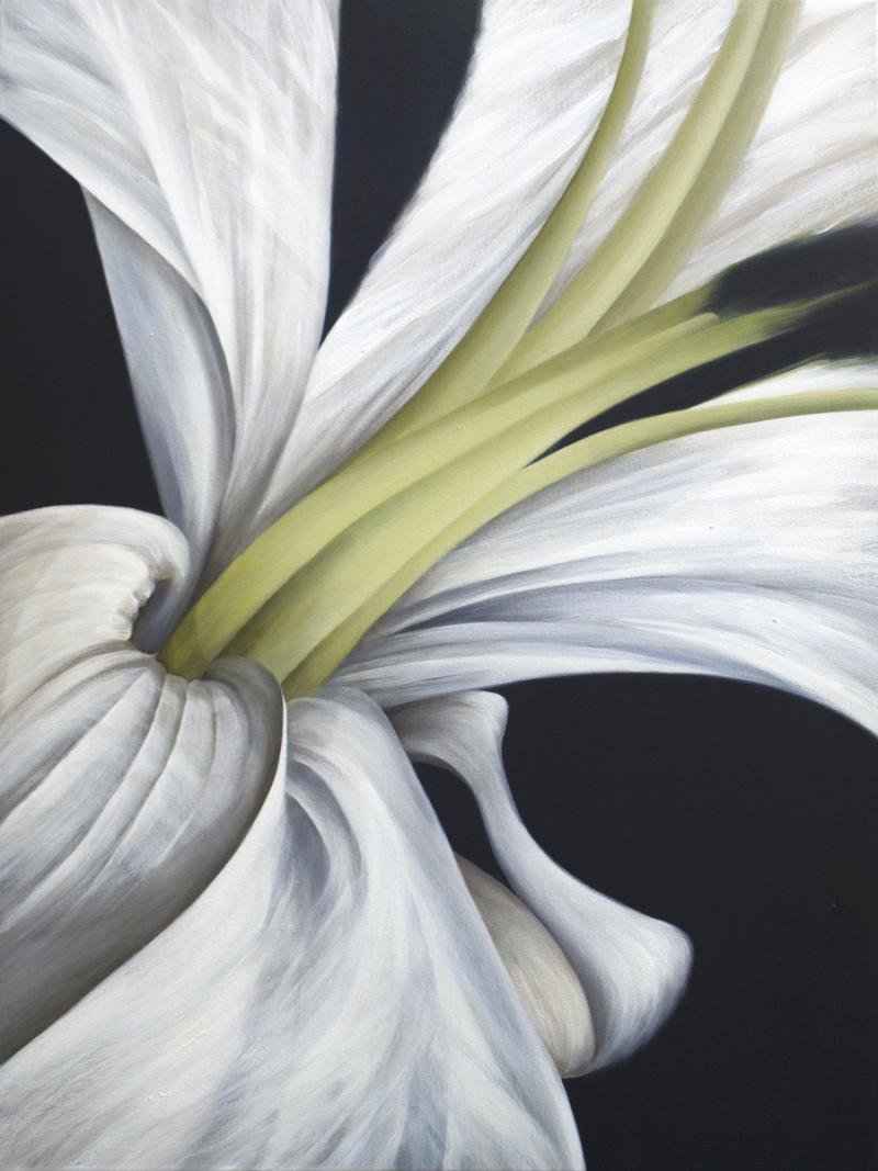 Deborah Bigeleisen Untitled No 8 Deborah Bigeleisen