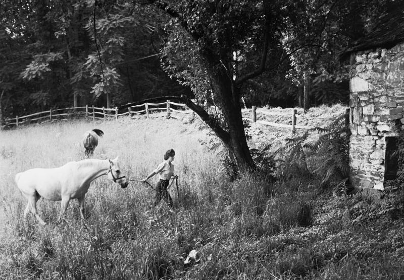 Mark Shaw Mark Shaw Kennedy Jackie Leads Horse 1959