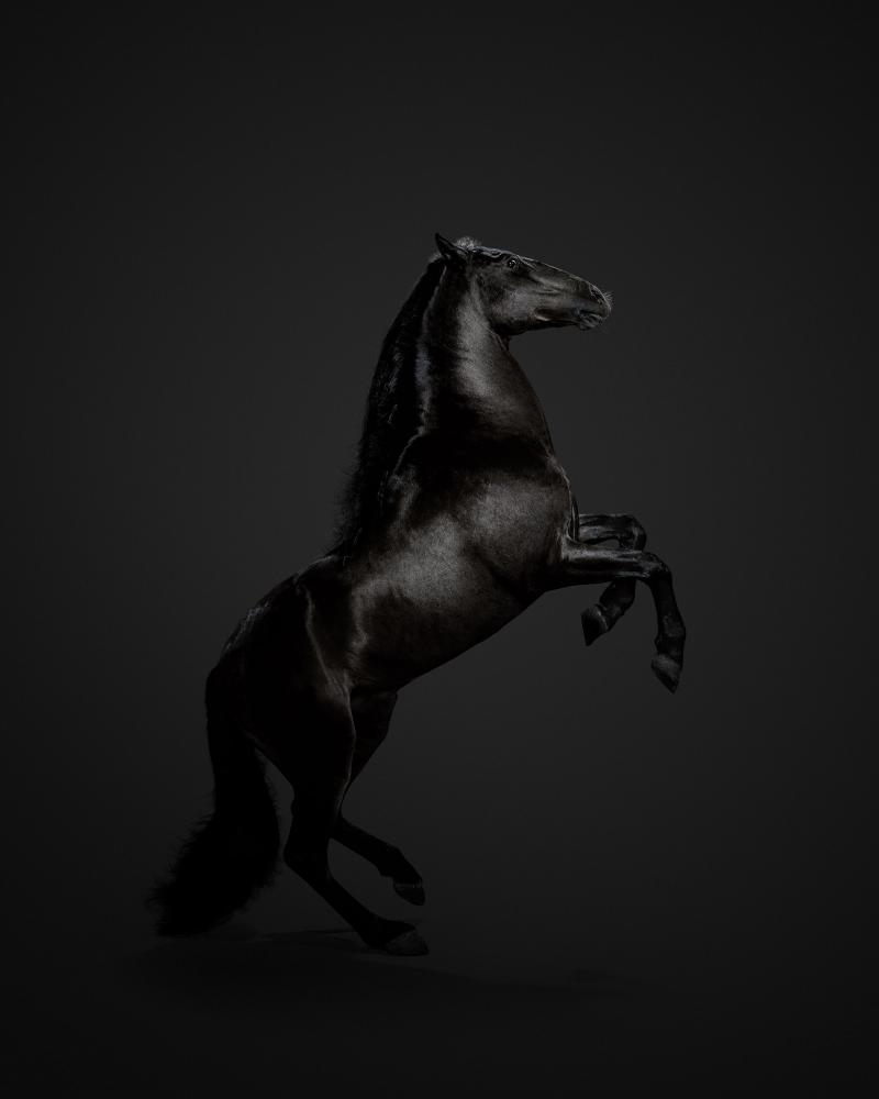 Randal Ford Black Horse No 3 Randal Ford