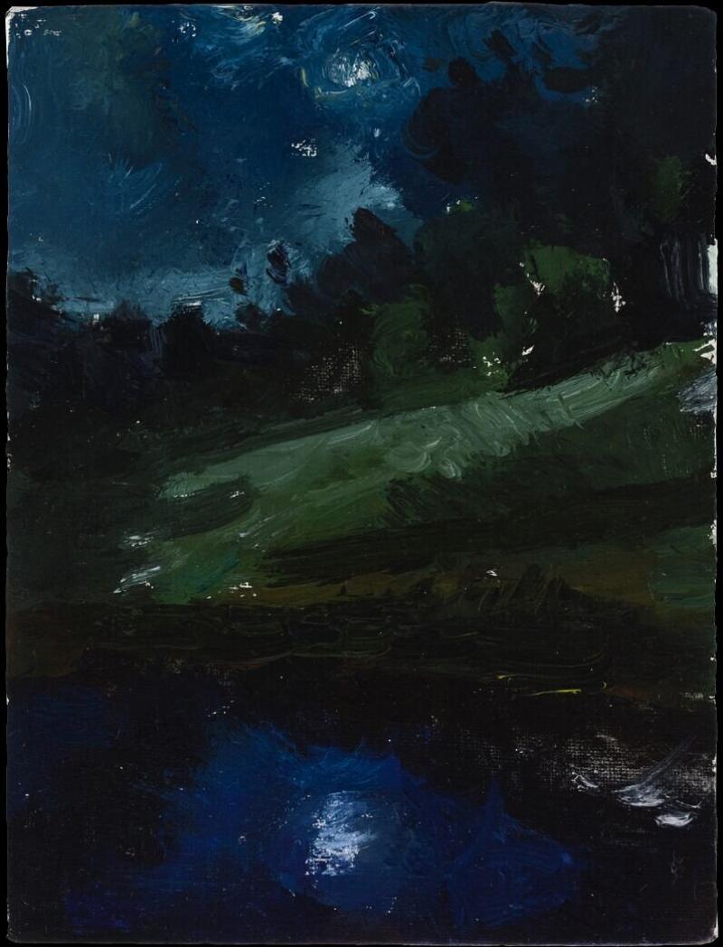 SUSANNA COFFEY Skowhegan Moon Pond 6 07 2007