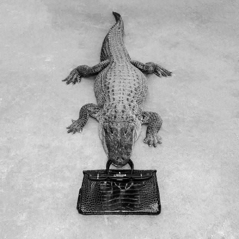 Tyler Shields Tyler Shields Gator Birkin Monochrome 2014