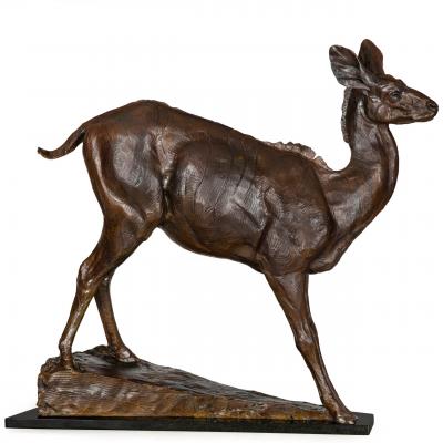 A Young African Kudu 2001 Dan Ostermiller