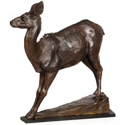 A Young African Kudu 2001 Dan Ostermiller