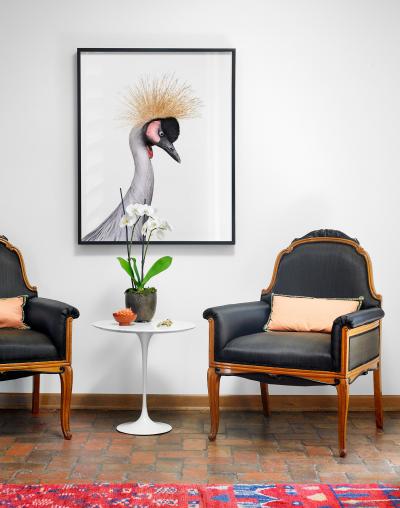 African Crane No 3 Randal Ford