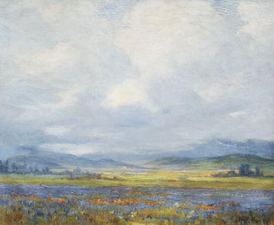 Anna Althea Hills Landscape with Wildflowers