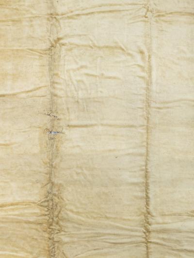 Antique Austrian Savonnerie Rug 11 8 x 15 10 