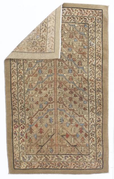 Antique Bakhshayesh Rug 3 2 x 5 3 