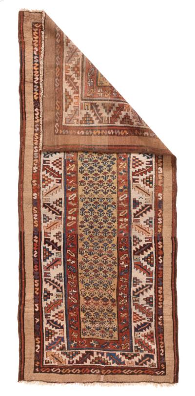 Antique Bakhshayesh Rug 3 8 x 8 3 