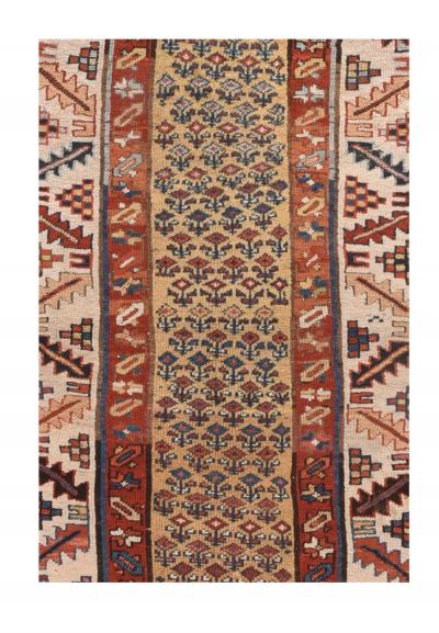 Antique Bakhshayesh Rug 3 8 x 8 3 