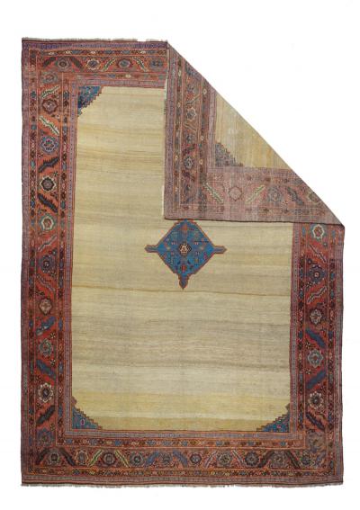 Antique Bakhshayesh Rug 9 1 x 11 2 