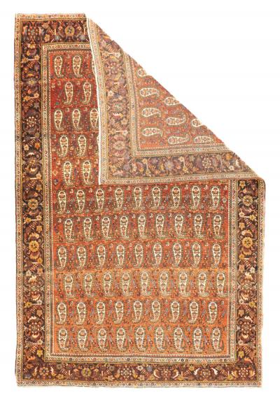 Antique Farahan Sarouk 4 4 x 6 5 