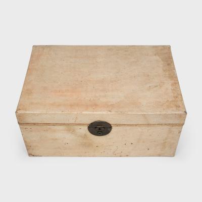 Blonde Hide Storage Trunk