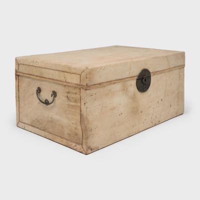 Blonde Hide Storage Trunk
