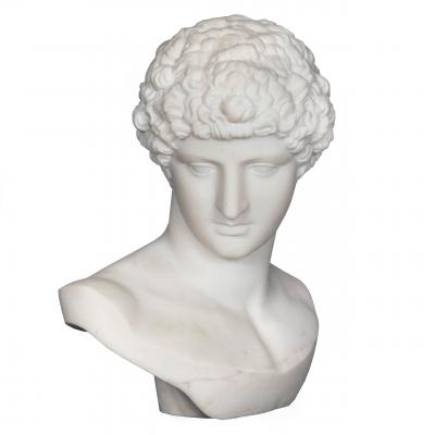 Bust of Capitoline Antinous Filli Pugi 19th Century
