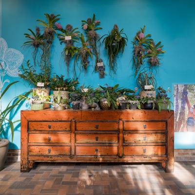 Carnelian Keeper s Coffer