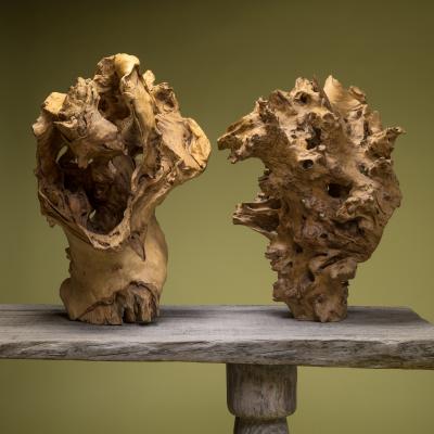 Chasm Root Sculpture