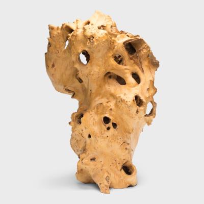 Chasm Root Sculpture