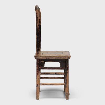 Chrysanthemum Ladys Chair