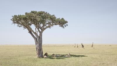 David Burdeny David Burdeny Paradise Maasai Mara Kenya 2018