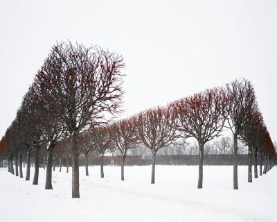 David Burdeny David Burdeny Winter Red Catherine Palace Pushkin Russia