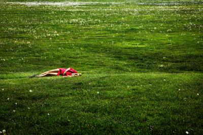 David Drebin David Drebin Field Of Dreams 2012