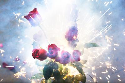 David Drebin David Drebin Fire And Roses 2013