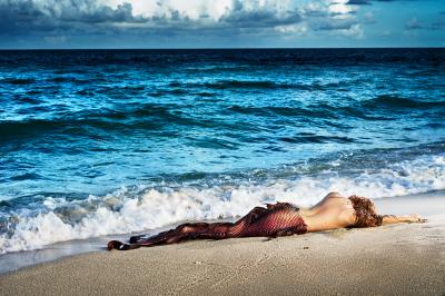 David Drebin David Drebin Mermaid In Paradise I 2014