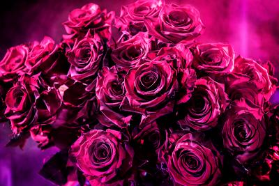 David Drebin David Drebin Pink Love 2014