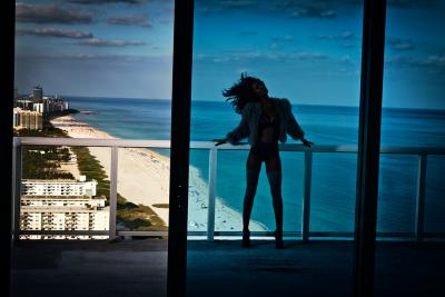 David Drebin David Drebin Recap 2015