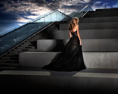 David Drebin David Drebin The Girl In The Black Dress 2011