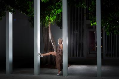 David Drebin David Drebin VIP Only 2018