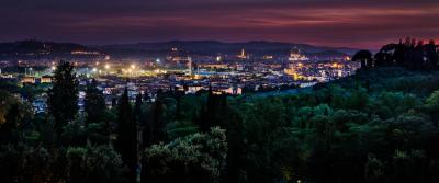 David Drebin Dreams Of Florence