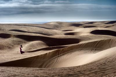 David Drebin Dune Love