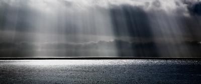David Drebin Heaven Can Wait