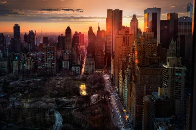 David Drebin High Rise NYC