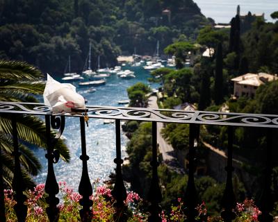 David Drebin Italian Balcony