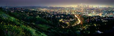 David Drebin Los Angeles