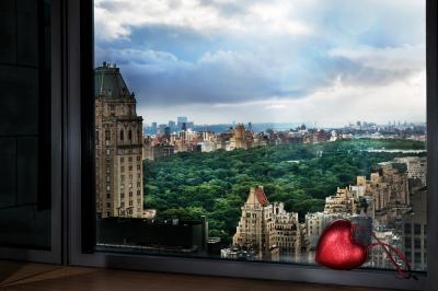 David Drebin Love Over Central Park