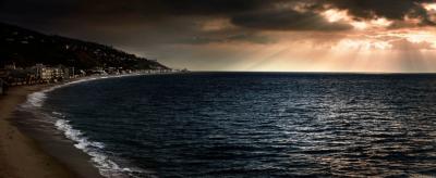 David Drebin Malibu